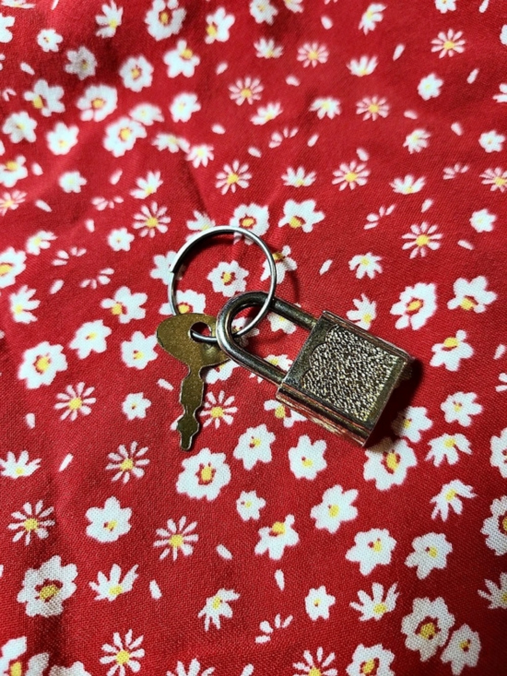 Small Padlock With Key - Picture 3 of 9